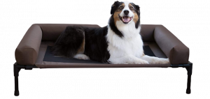 K&H PET PRODUCTS Original Bolster Pet Cot – The Best Dog Bed Elevated