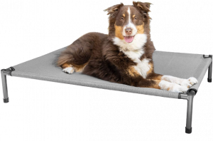 Hyper Pet Raised Rest Deluxe Elevated Dog Bed