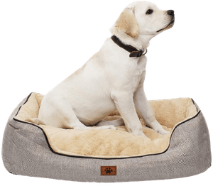 Windracing Pet Bed for Small, Medium, Large Dog