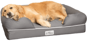 PetFusion Ultimate Dog Bed Solid CertiPur US Memory Foam Orthopedic Dog Bed removebg preview 1