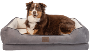 Pet Craft Supply Premium Orthopedic Memory Foam Dog Bed Large Dog Bed
