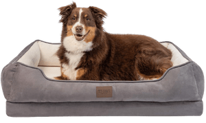 Pet Craft Supply Premium Orthopedic Memory Foam Dog Bed Large Dog Bed removebg preview 1