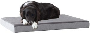 Barkbox Dog Bed Memory Foam