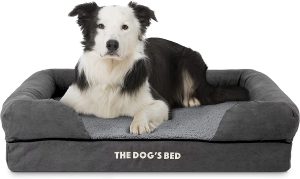 The dog's balls orthopedic dog bed