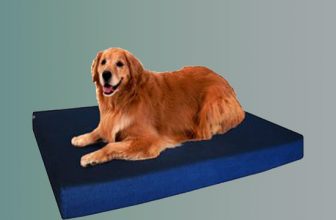 Dog Beds for Anxiety
