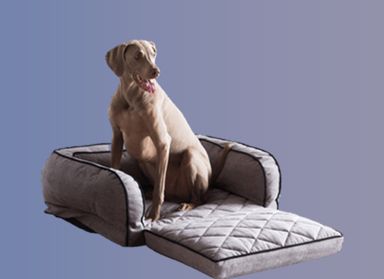 Dog Beds for Older Dogs