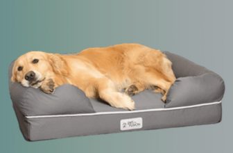 chew-proof dog beds