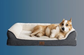 best washable dog bed