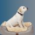 8 Best Dog Beds for Older Dogs 2022 [Editor’s Review]