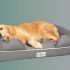10 Best Truck Bed Kennels for Dogs
