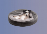 Perfect 10 Dog Beds for Pets With Hip Dysplasia